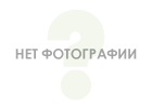 ARM375-03-G Кремовое золото